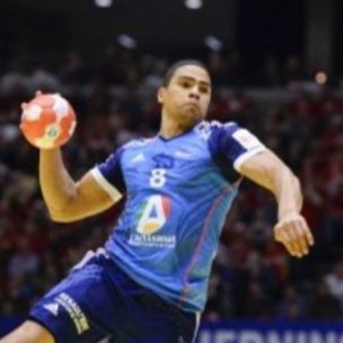 Handball, Adidas, Fédération française de handball