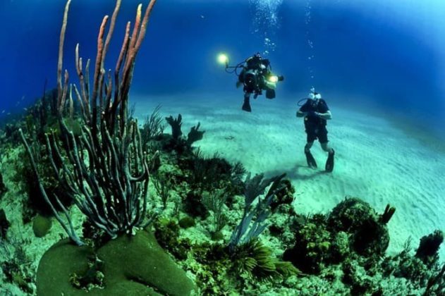 Les destinations idéales pour expérimenter la plongée en Corse