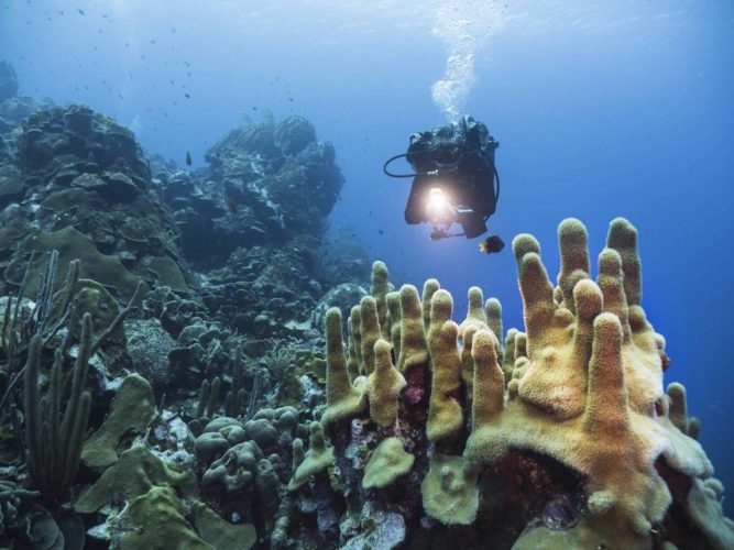 passionnes-randonnee-aquatique passionnes randonnée aquatique