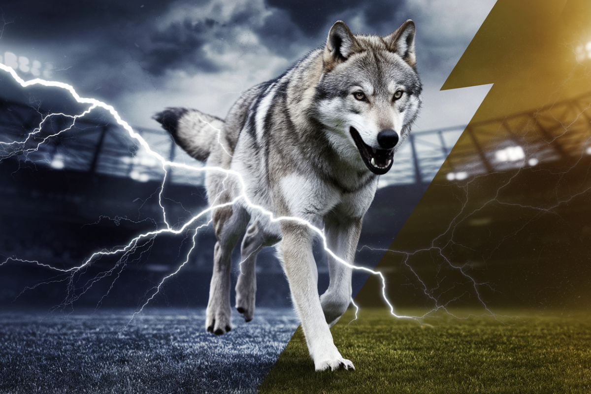 Transfert historique  Wolves recrute tchatchoua le joueur le plus