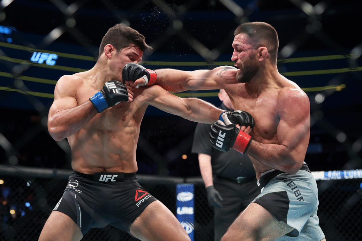 Alex pereira  Knockout emblématique face à jamahal hill ou